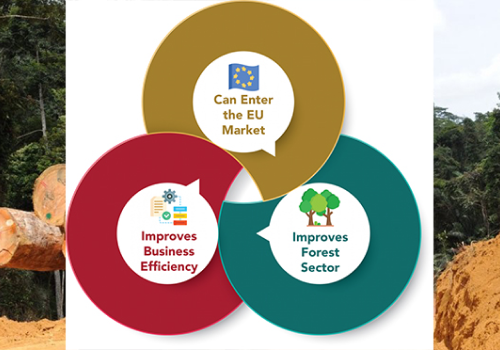 Guyana FLEGT Partnership Support