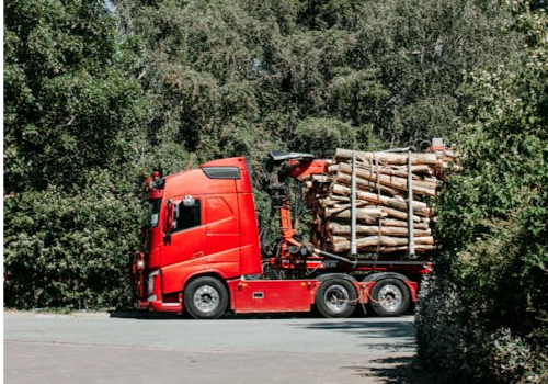 Forestry Training Assessment
